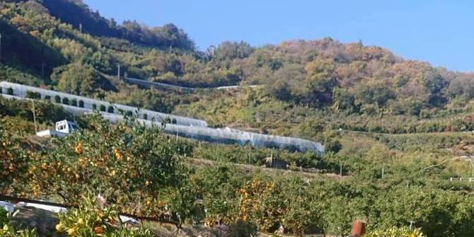 山の斜面に広がる三瓶町の段々畑